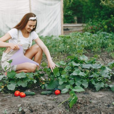 Care sunt avantajele utilizării plasei de umbrire pentru cultivarea roșiilor?