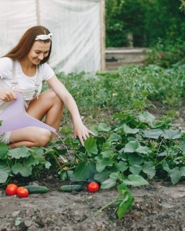 Care sunt avantajele utilizării plasei de umbrire pentru cultivarea roșiilor?